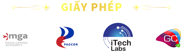 giấy phép hoạt động td88