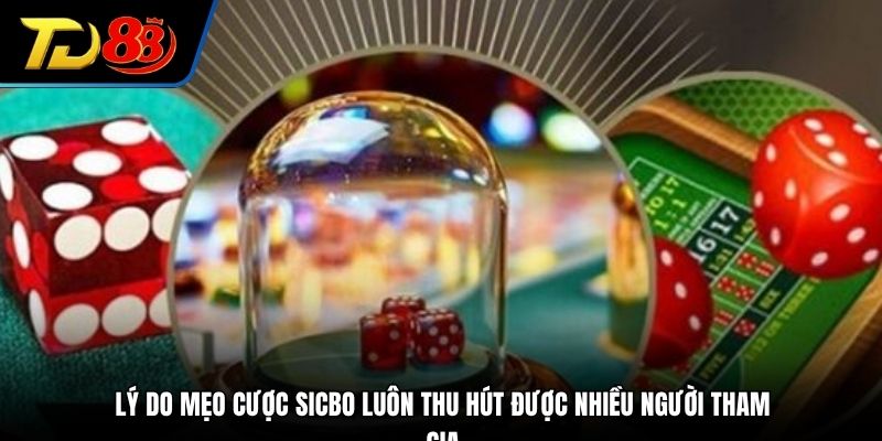Lý do mẹo cược Sicbo luôn thu hút được nhiều người tham gia