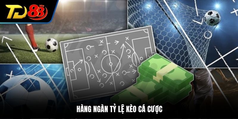 Hàng ngàn tỷ lệ kèo cá cược